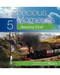 Precious Moments Vol 5 Amazing God CD