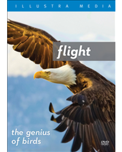 Flight: The Genius of Birds DVD