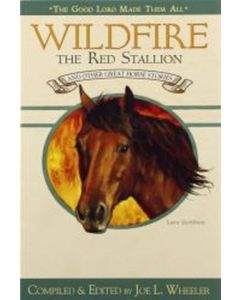 Wildfire the Red Stallion