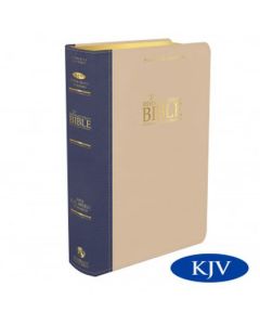 Platinum Remnant Study Bible (KJV) Top-grain Leather: Blue/Taupe