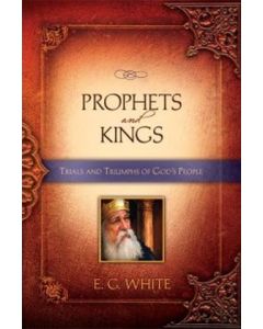 Prophets and Kings (Remnant) Hardcover