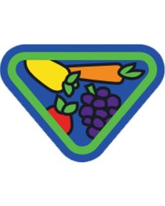 Healthy Foods - Adventurer Award