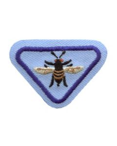 Honey Bees - Adventurer Award