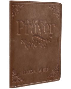 The Privilege of Prayer