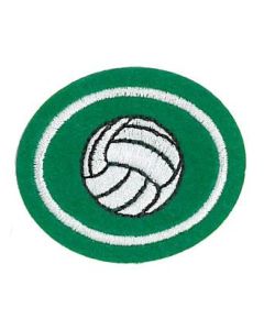 Volleyball - Pathfinder Honour