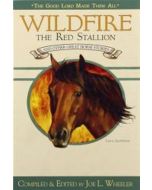 Wildfire the Red Stallion