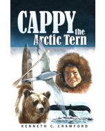 Cappy the Arctic Tern