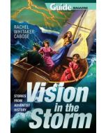 Vision in the Storm