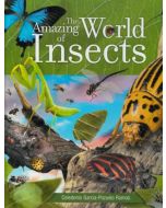 Amazing World of Insects