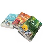 'Finding David' series 3-book pack